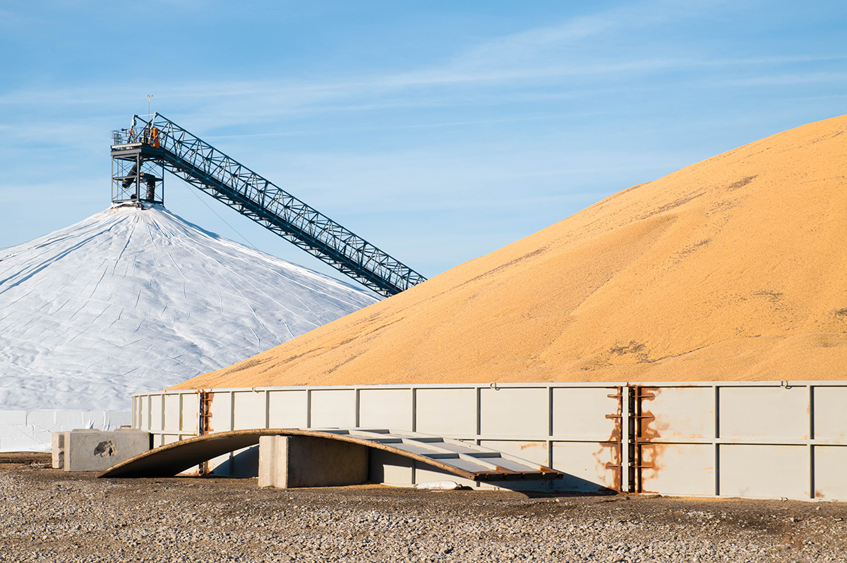 Soybean piled up at cooperative