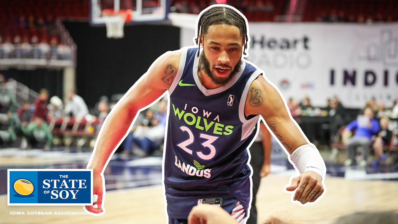 Iowa Wolves basketball player