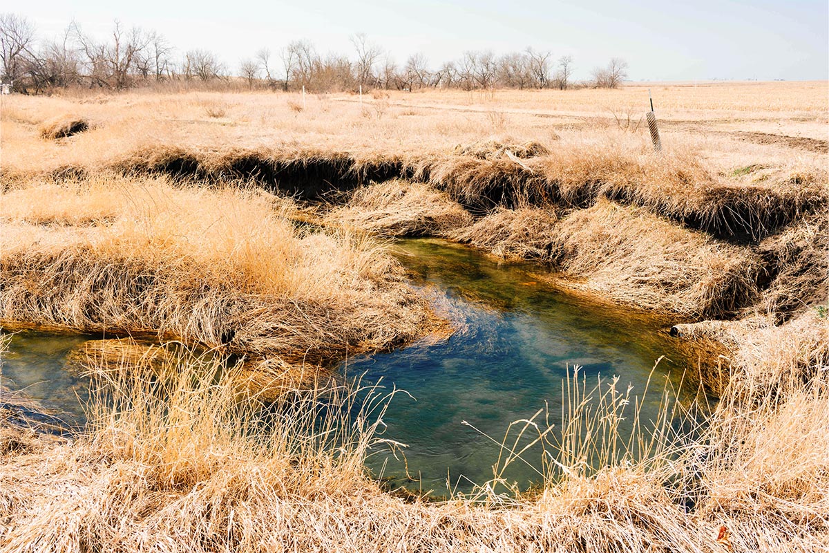 Creek running through field in Iowa