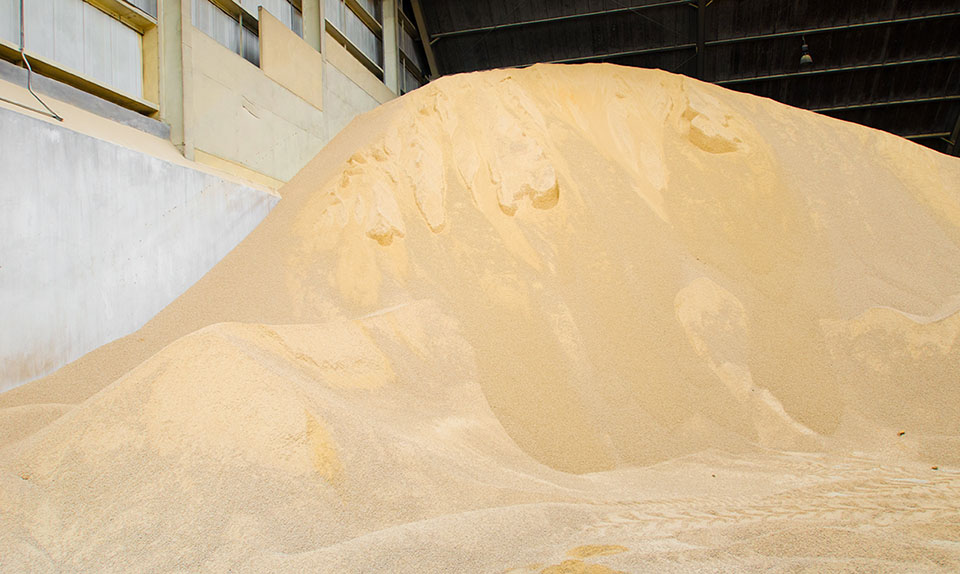 Soy meal on large pile in warehouse