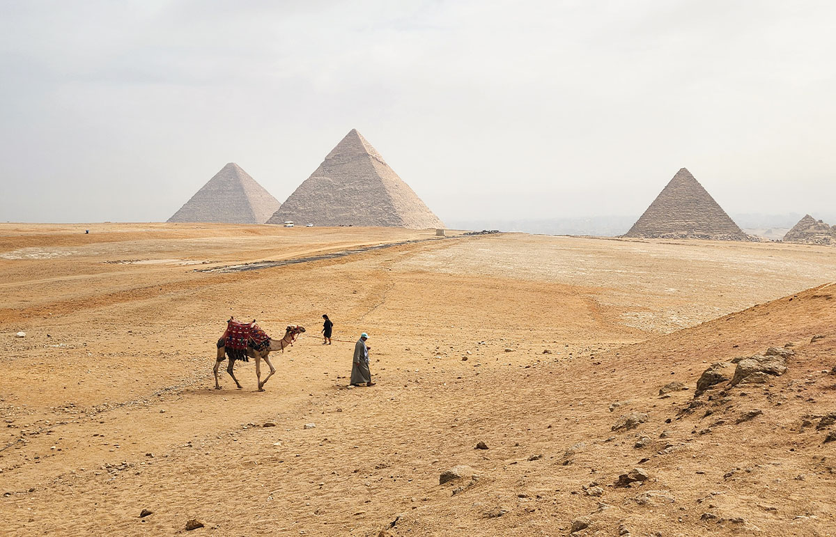 Pyramids of Giza with camel