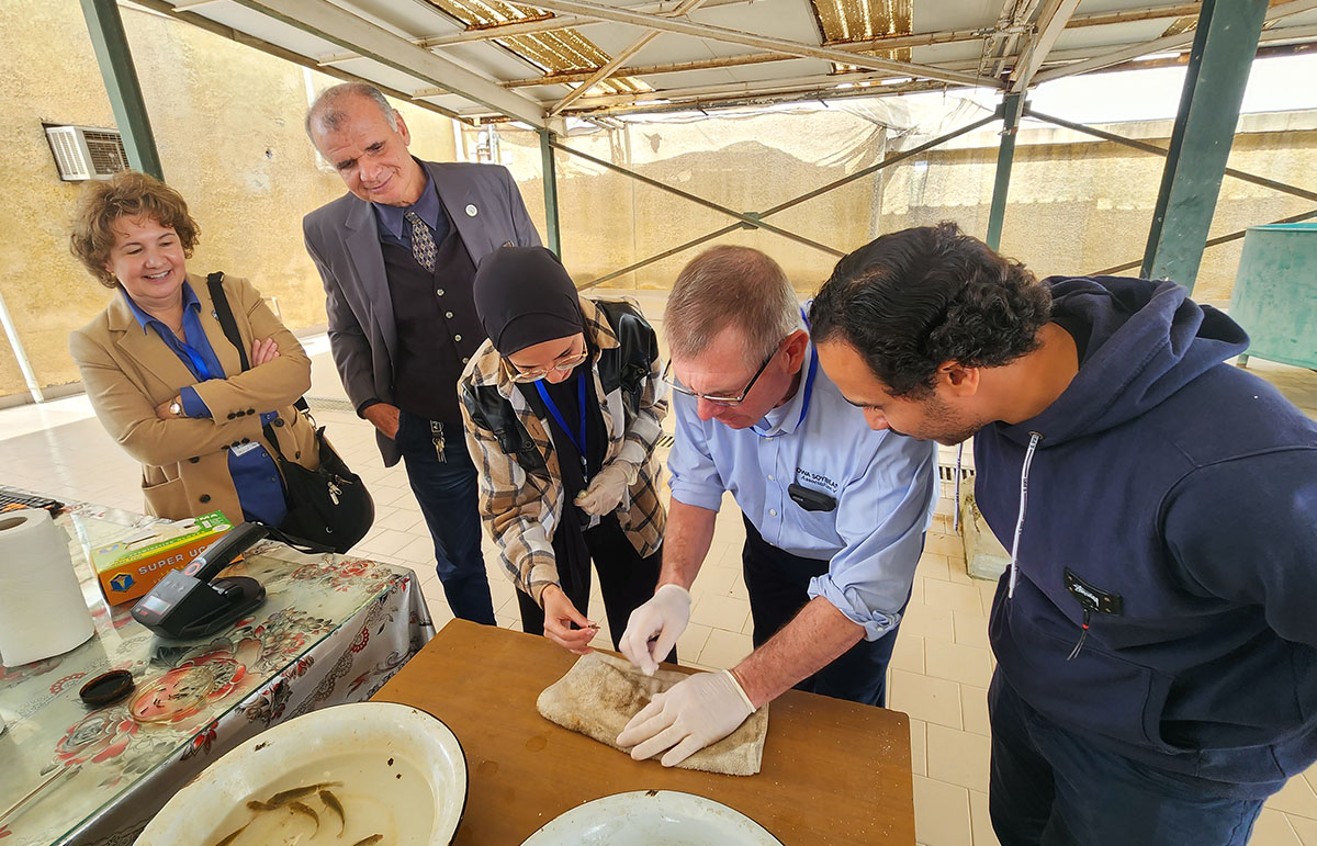 Iowa farmers learning about fish farming in Egypt