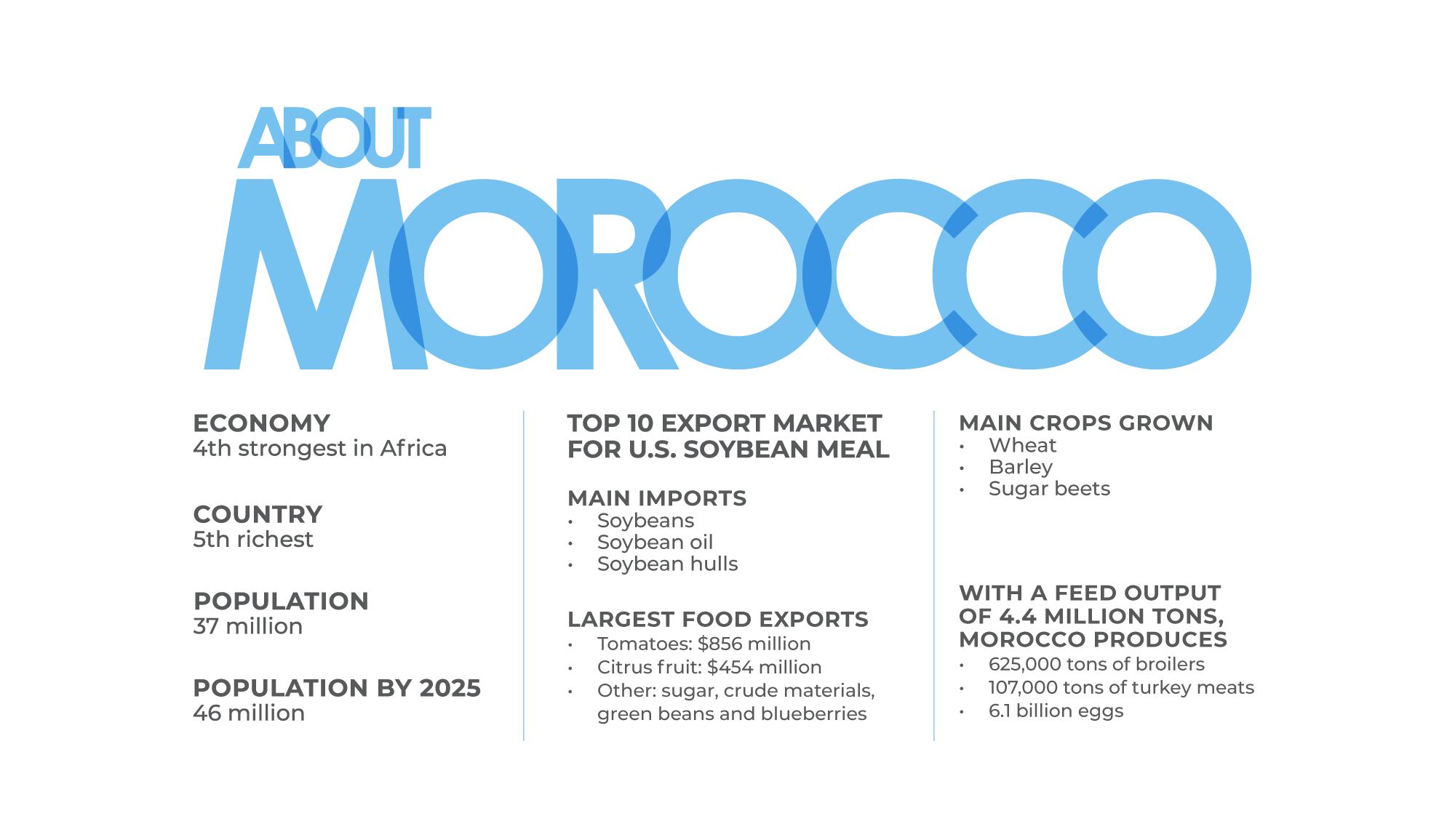 Moroccan infographic