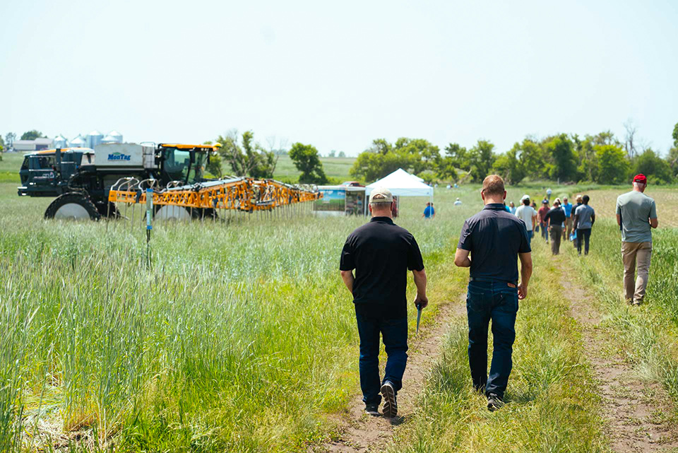 Farmers walking through field in Iowa
