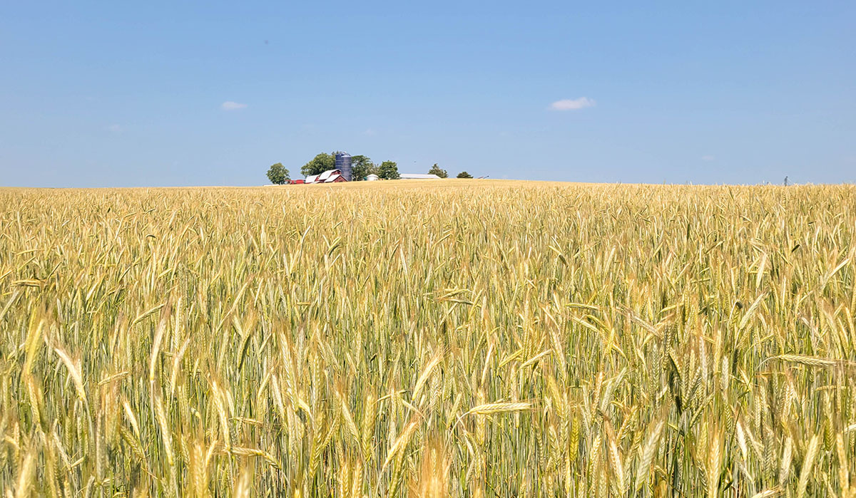 Iowa field with barn