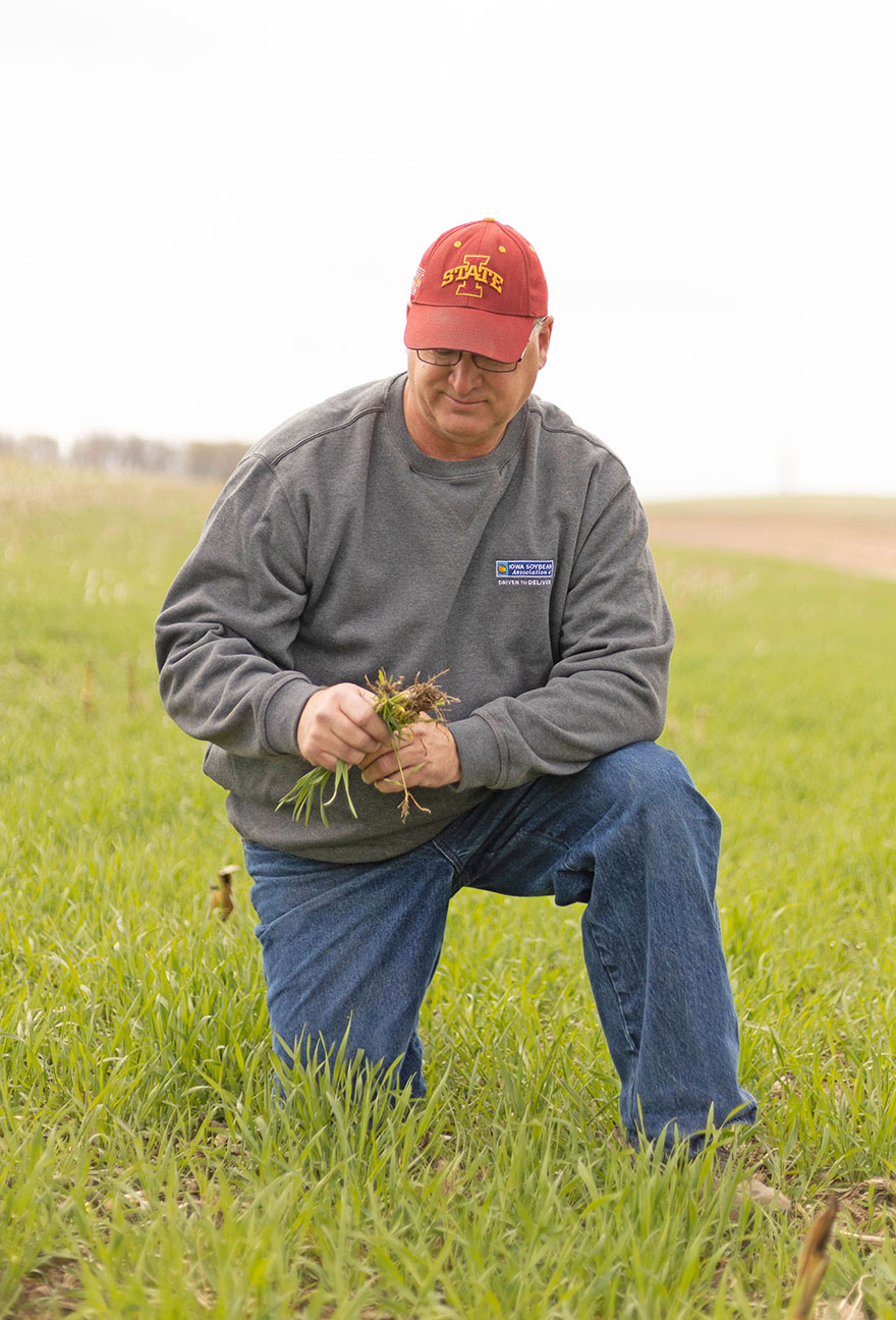 Farming kneeling in field