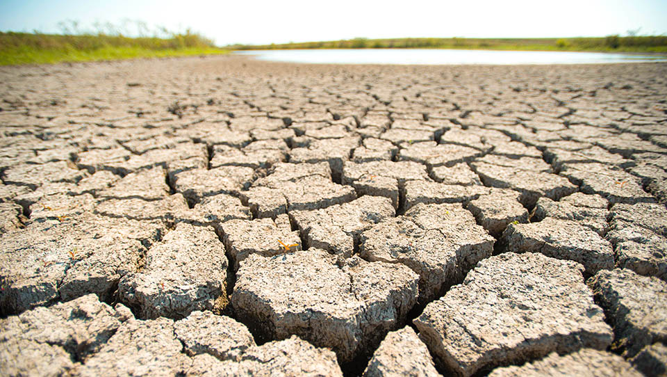 Dry soil in field