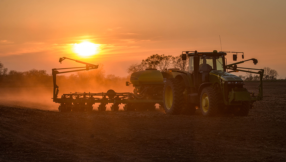 Planting soybeans at dusk