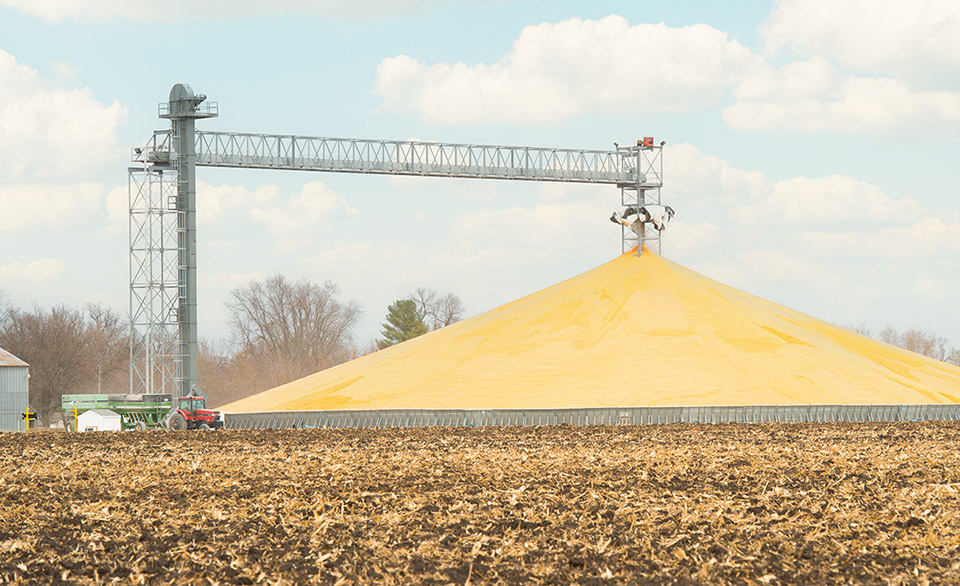 Farm coop in Iowa