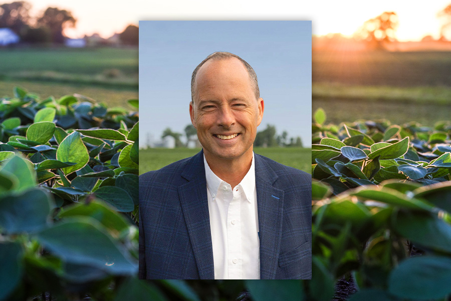 ISA Chief Officer, Brand Management and Engagement