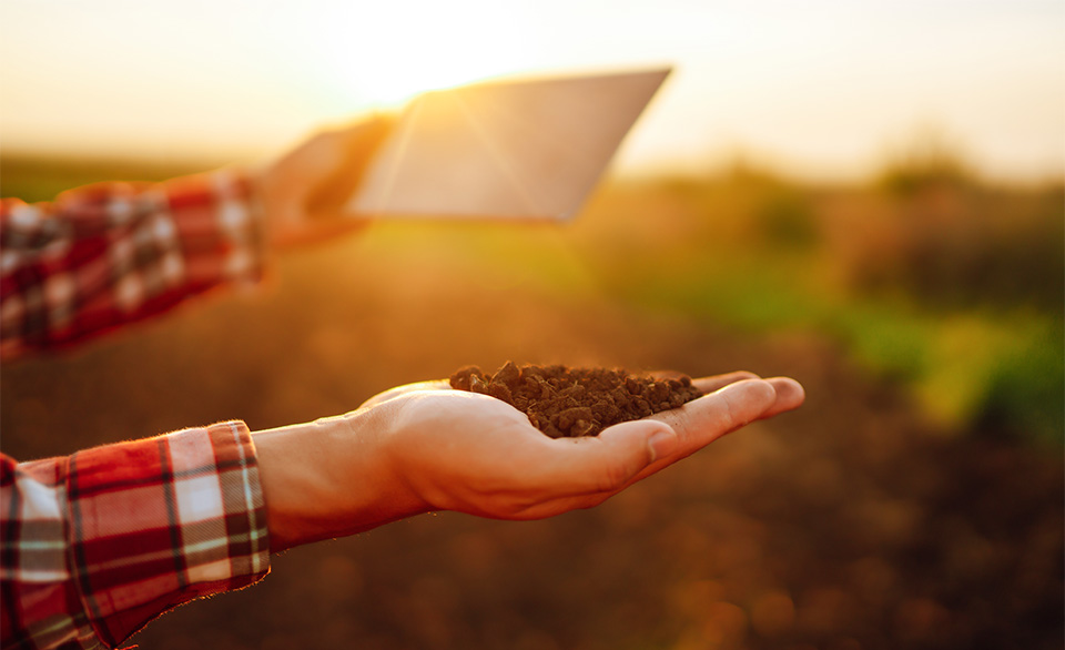 Hand holding soil on farm