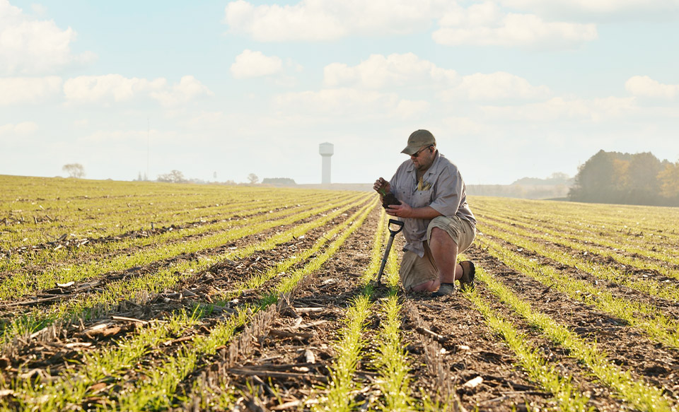 Iowa farmer out in field