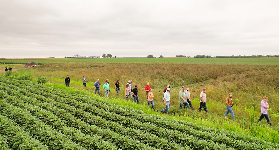 Iowa farmers walking through crop fields