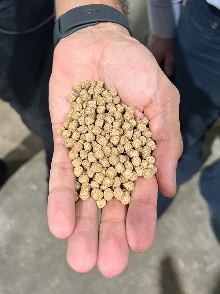 Fish feed Soy rations used in aquaculture