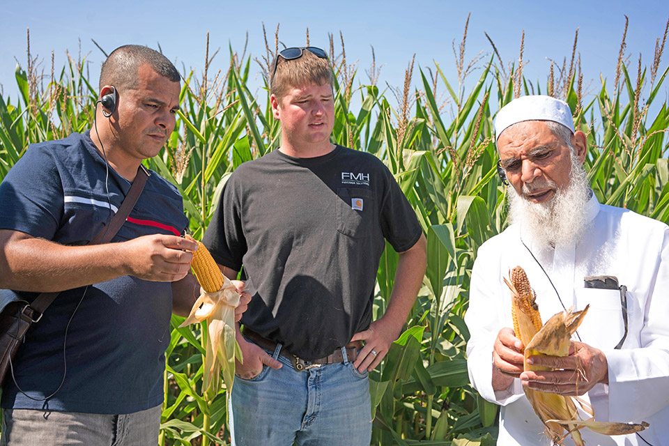 Trade team from the Maghreb