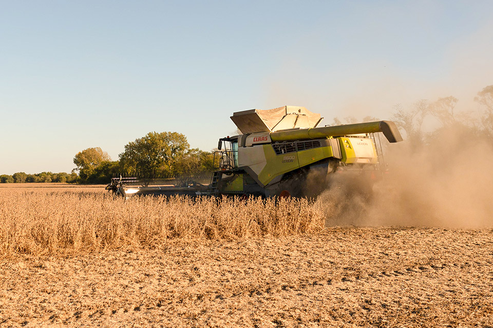 Combine in soybean field in Iowa
