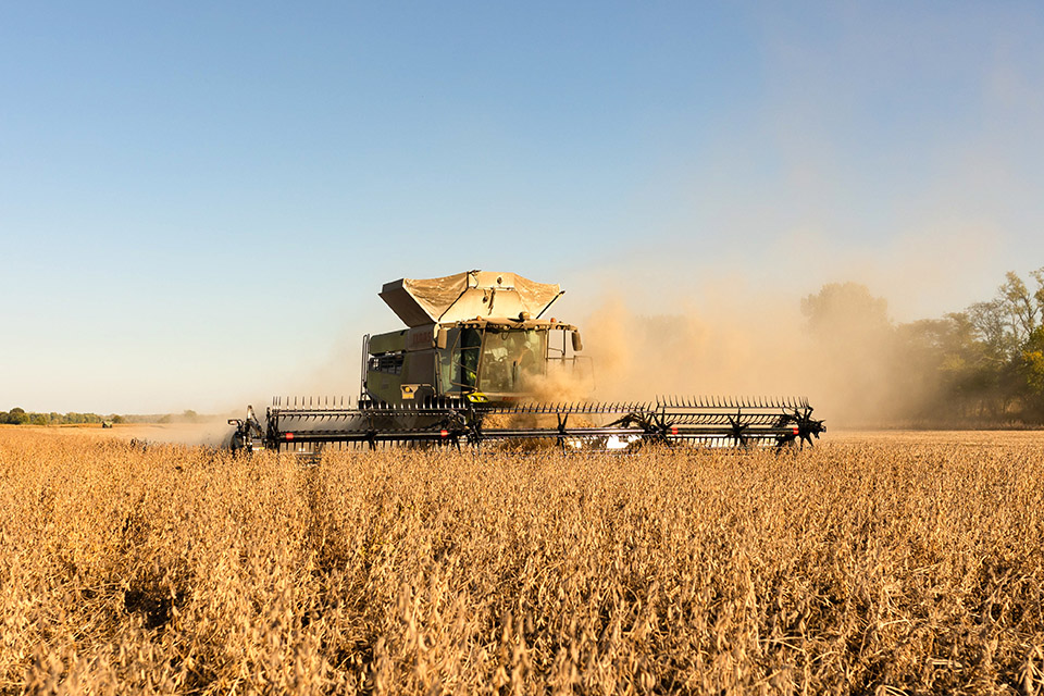 Combine in field during harvest