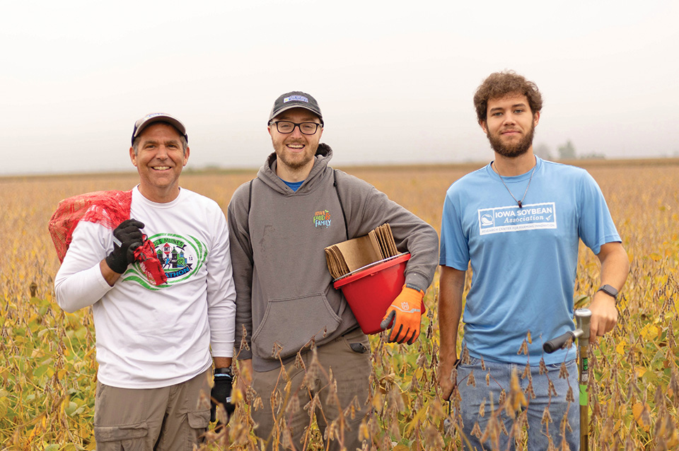 Researchers collecting soybean samples