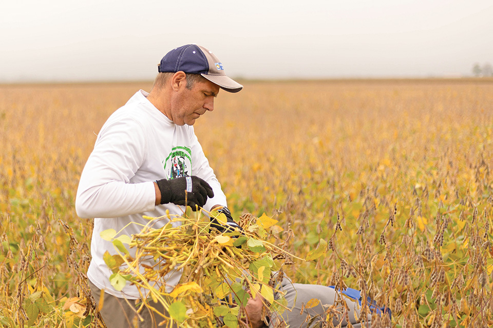 Researcher working in field in Iowa