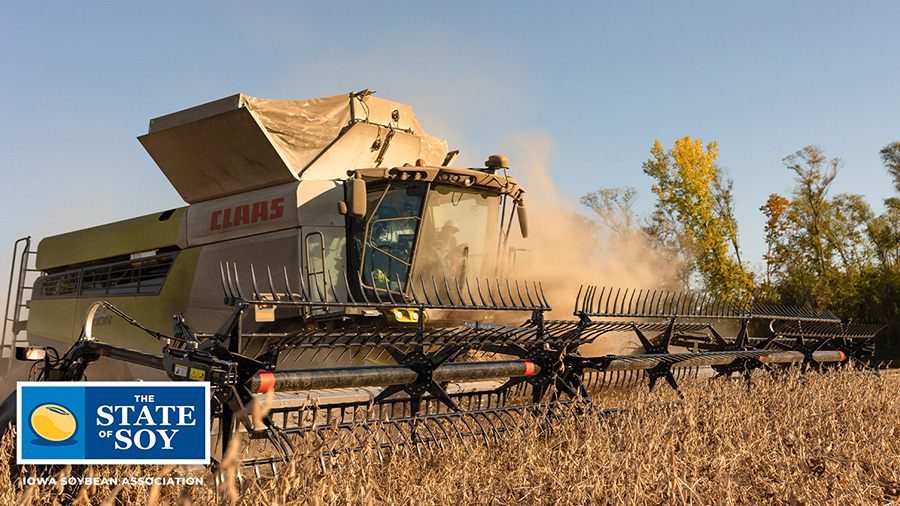 Claas combine in soybean field during harvest