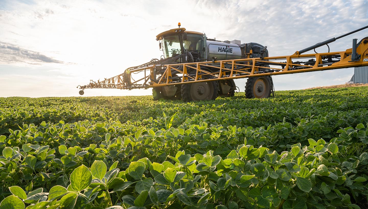 Hagie sprayer in soybean field