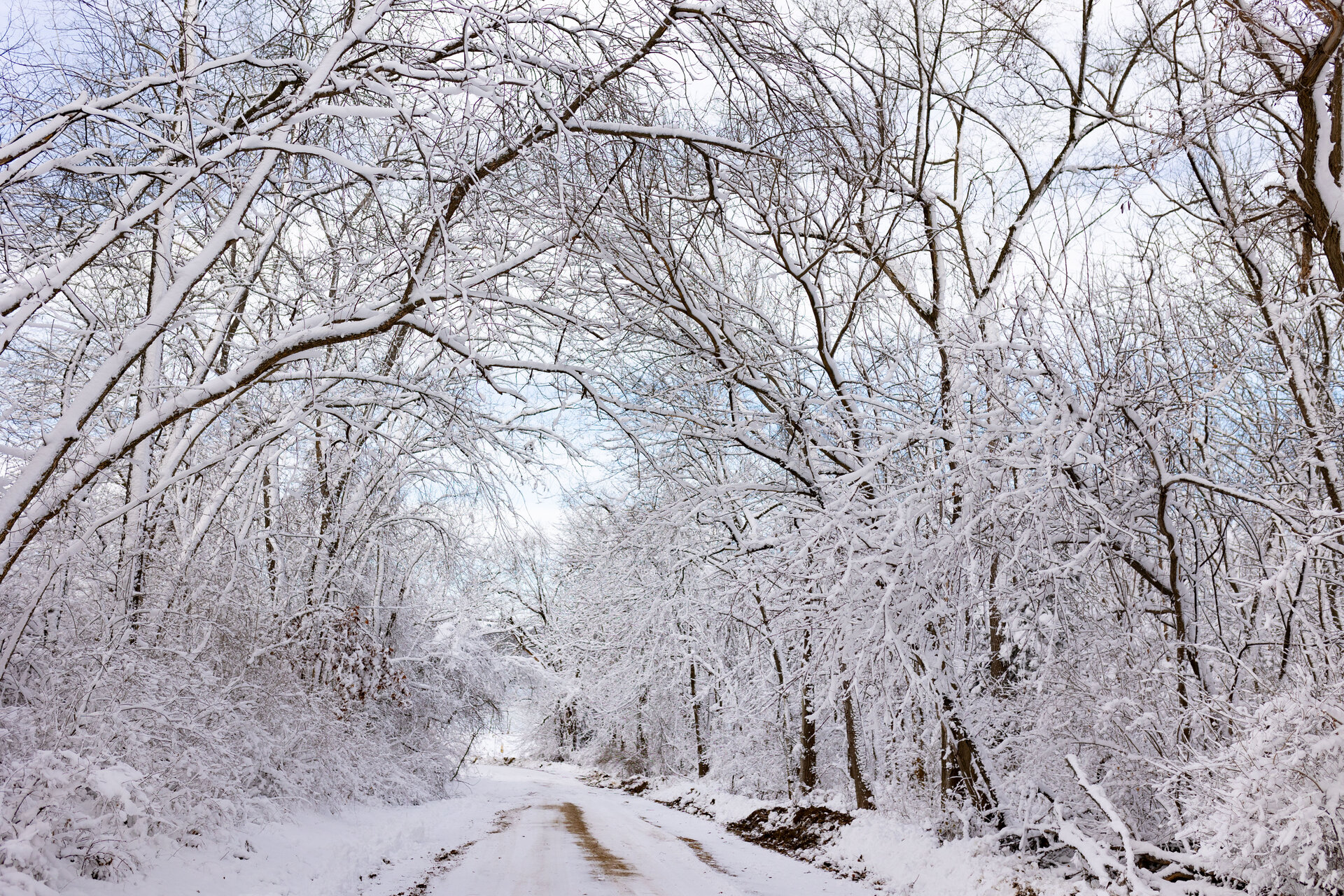 Snow covered road in Iowa winter