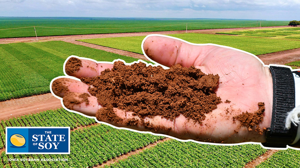 Hand holding reddish dirt in South America