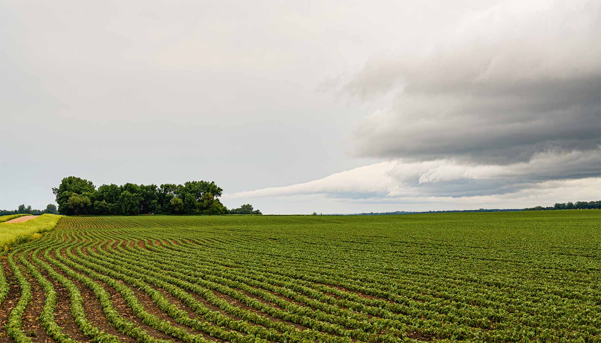 Storm clouds gathering over Iowa