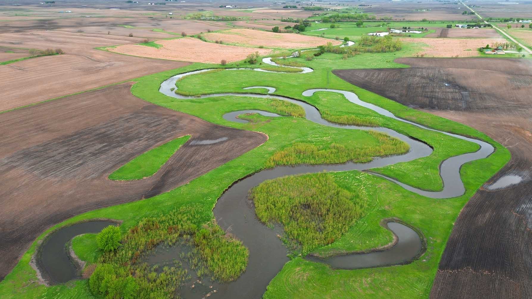 Many oxbows in close proximity