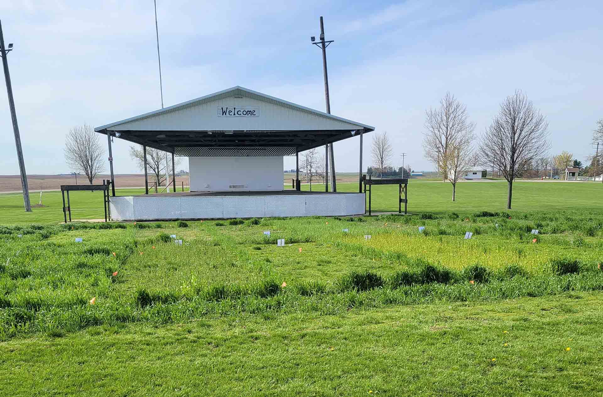 Cover crops on county fairgrounds in Iowa