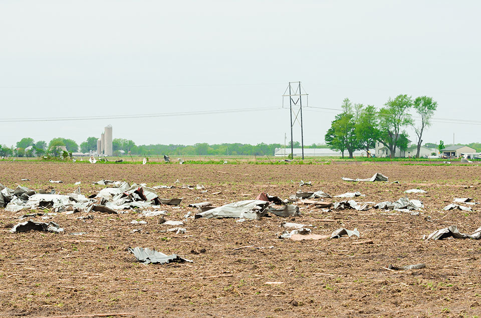 Storm debris in field