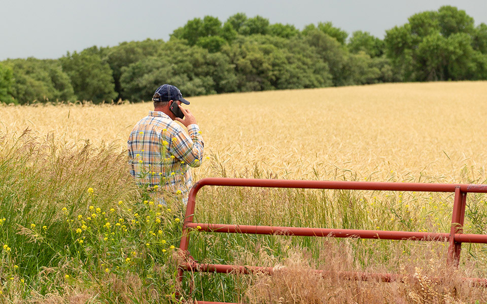 Roger Wilcox in field