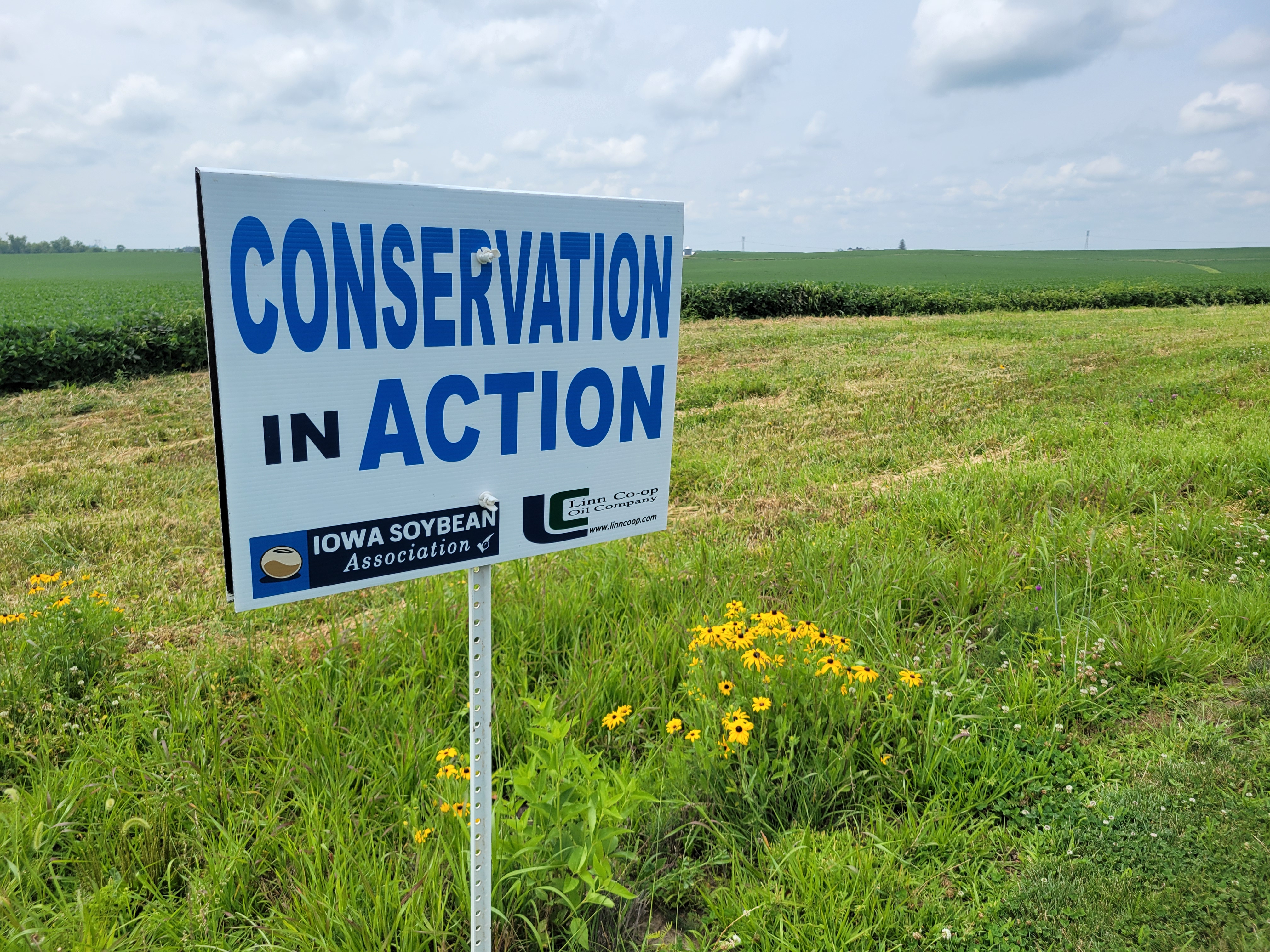 Conservation in Action