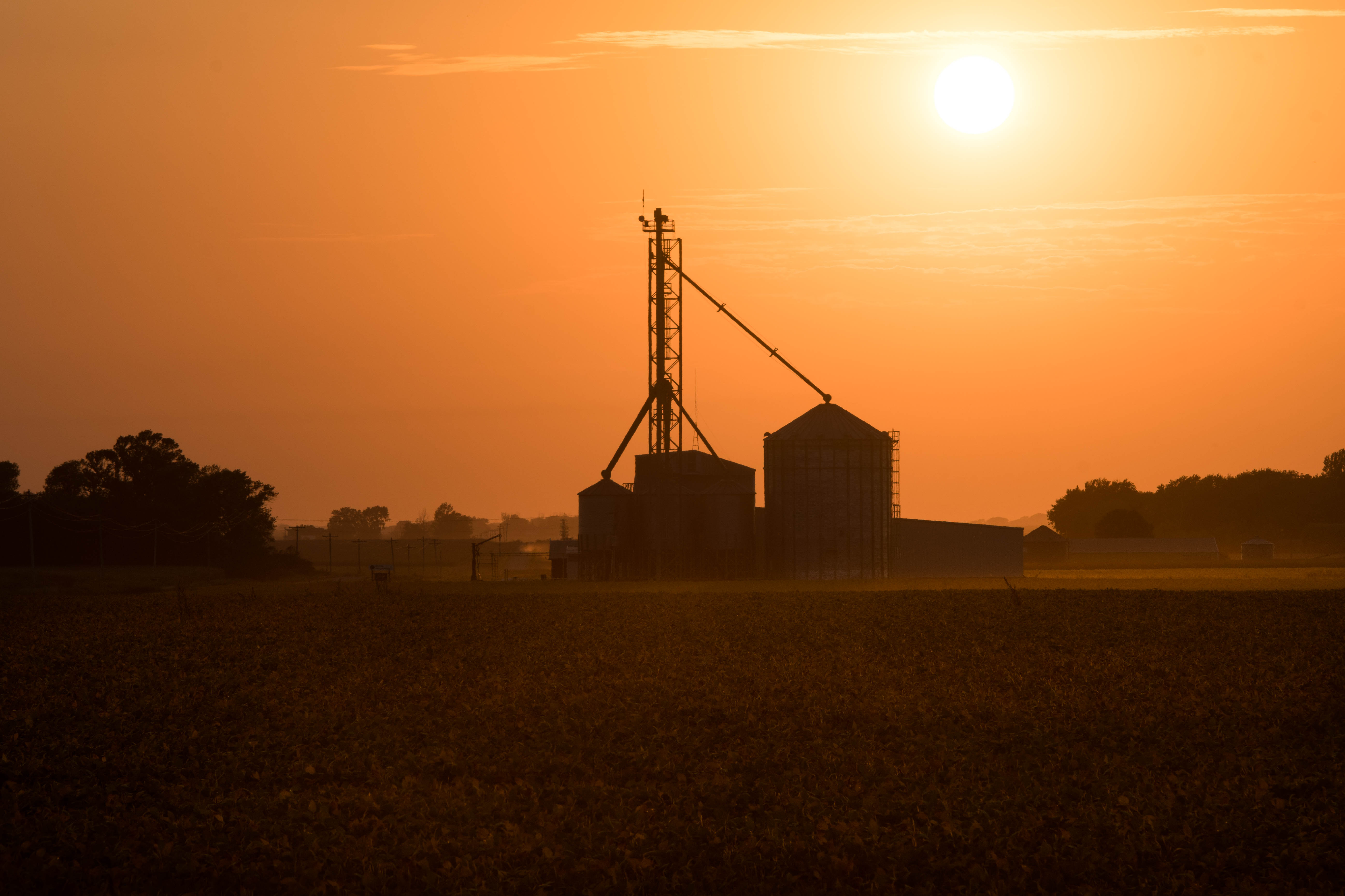 Farm Scene