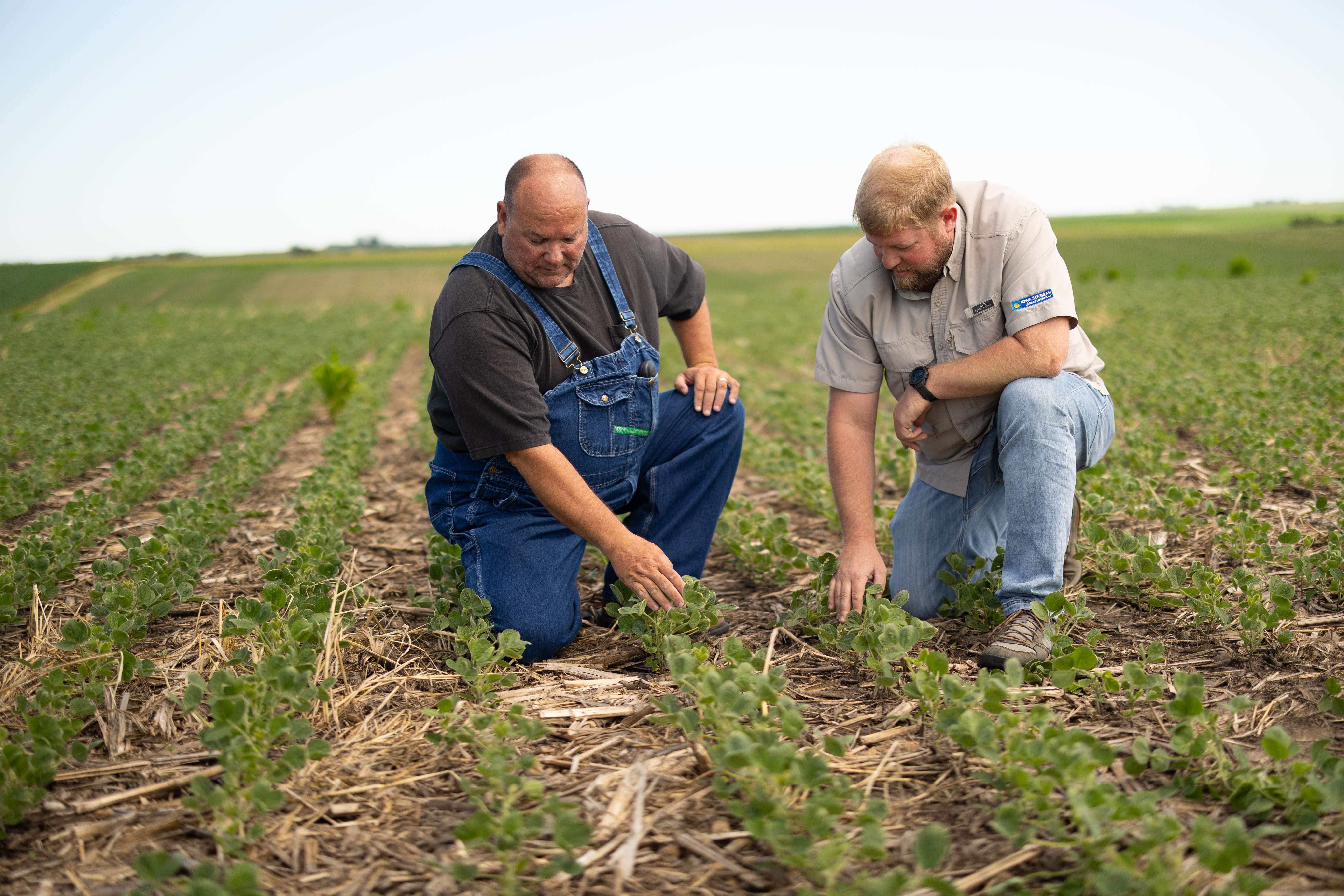 Farmer and Agronomist Look at Soybeans