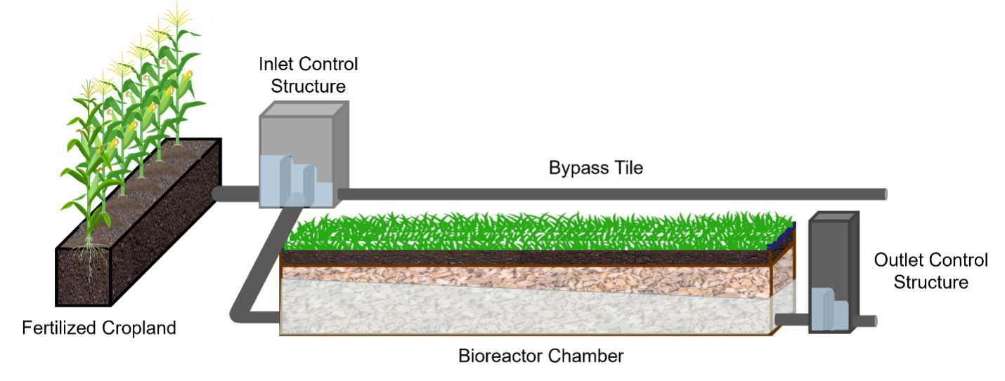 Diagram of bioreactor chamber