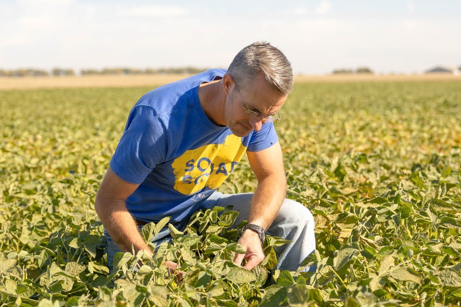 Farmer scouting in soybean field