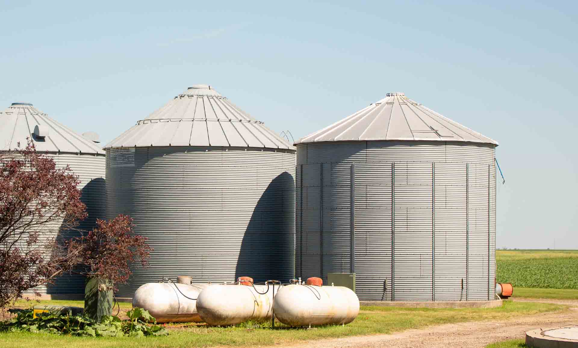 Grain bins in the spring