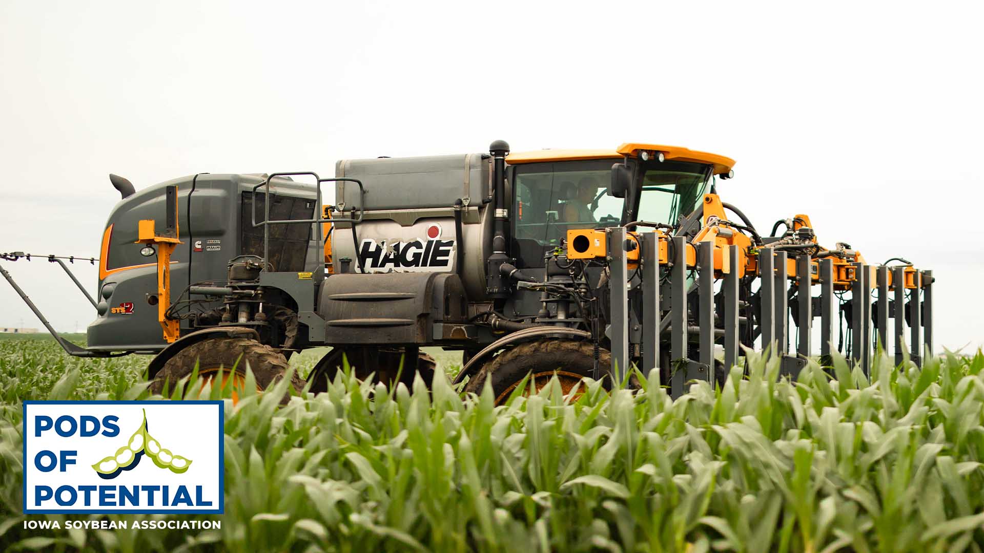 Hagie sprayer in corn field