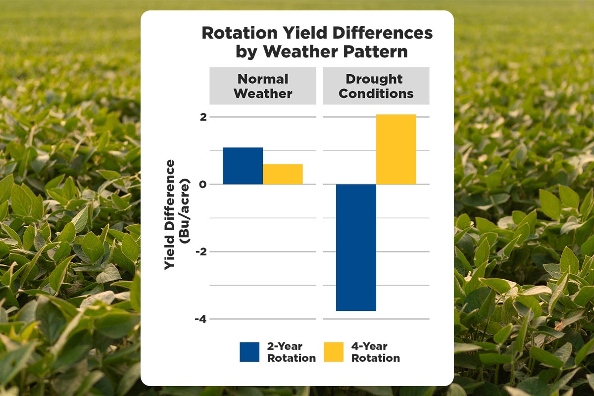Rotation Yield by Weather Type Graph showing soybean research results