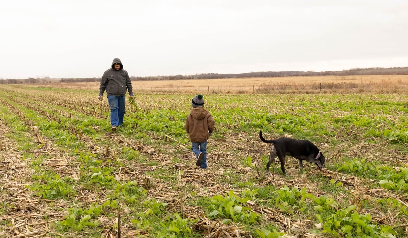 Farmers walking through field with dog