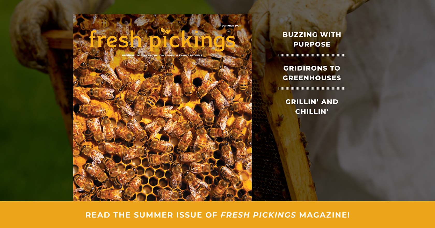 Cover of magazine featuring honey bees