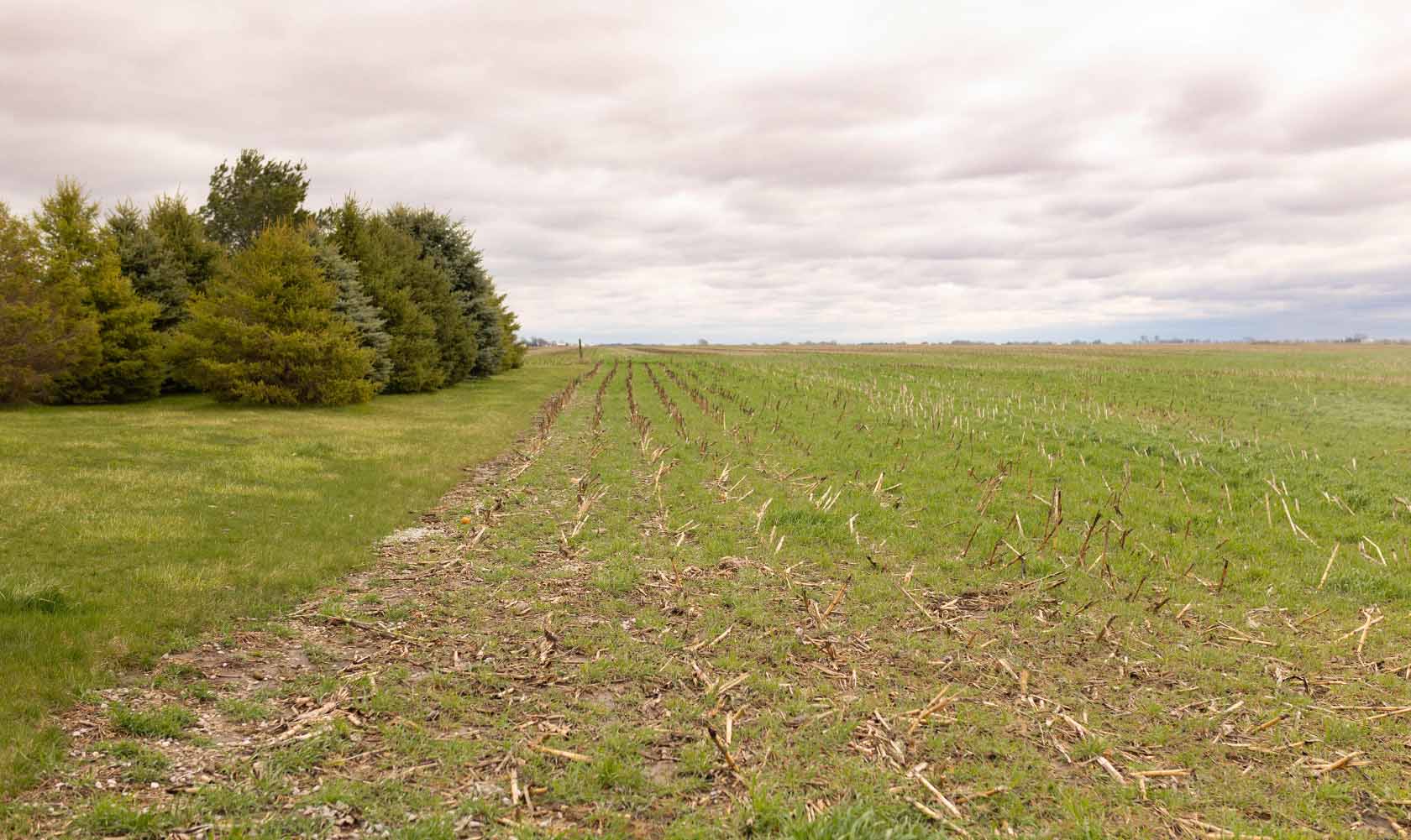 Residue Management Iowa field with corn stubble