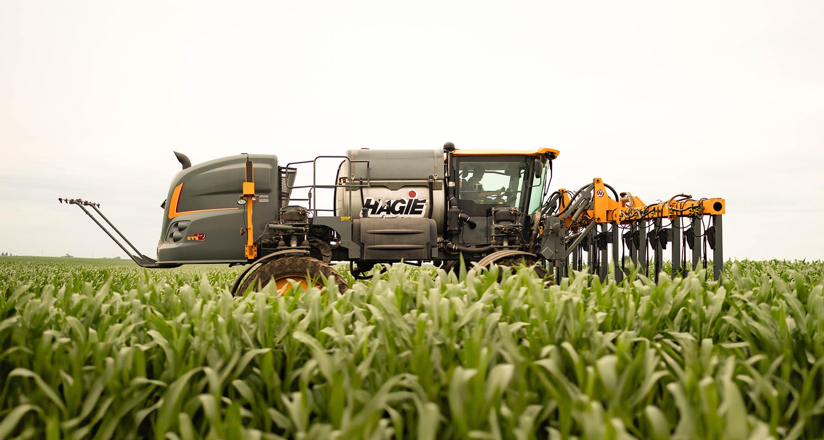 Hagie sprayer in corn field