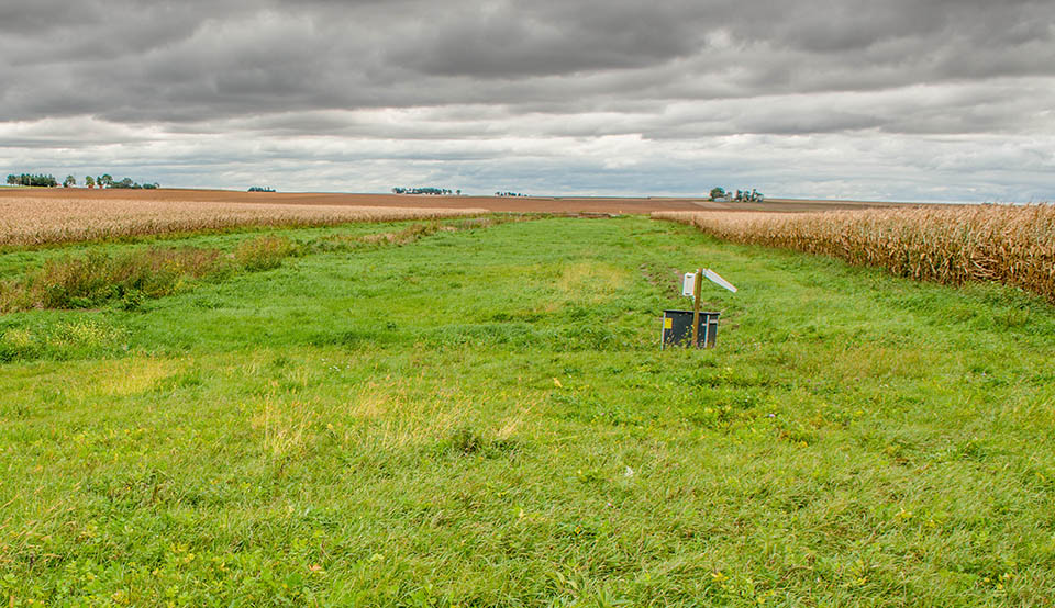 Saturated Buffer On-farm conservation practice