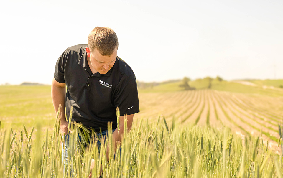 Conservation agronomist
