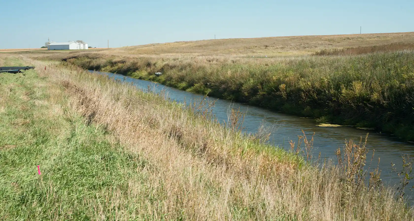 Saturated Buffer Buffer of grass next to waterway