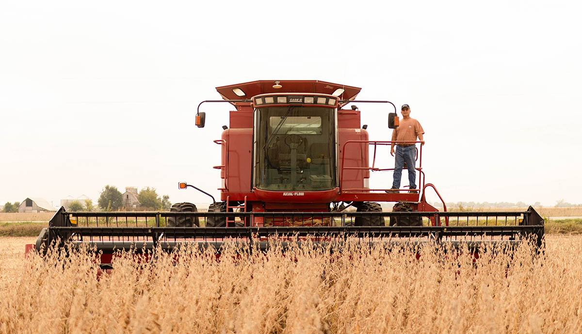 Tom Adam on red combine during soybean harvest