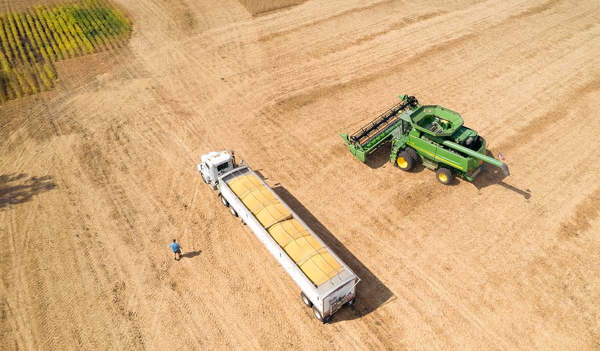 Aerial photo of soybean harvest in Iowa with combine an