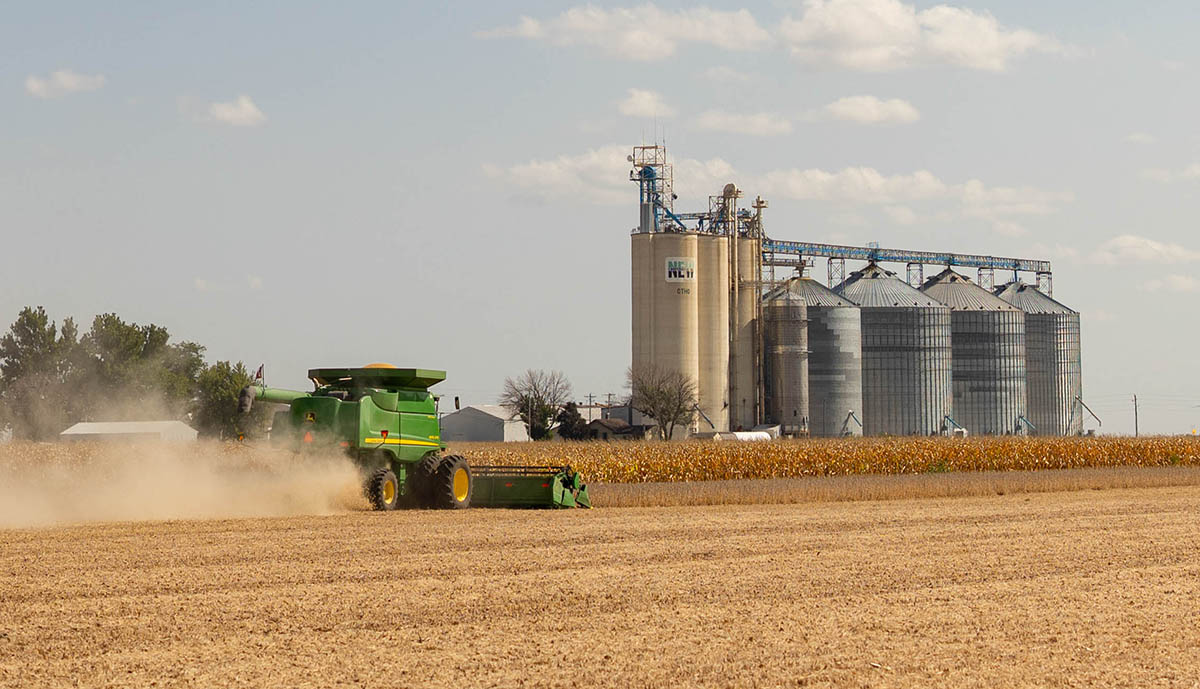 Combine harvesting soybeans near NEW Cooperative